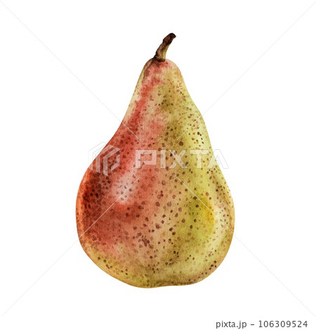 Pear on white isolated background. Watercolor illustration of sweet red-yellow Fruit. Drawing with clipping path for Food and beverage packaging. Hand drawn clip art for sticker and print design Pear on white isolated background. Watercolor illustration of sweet red-yellow Fruit. Drawing with clipping path for Food and beverage packaging. Hand drawn clip art for sticker and print design 106309524