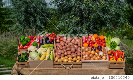 A stall with various vegetables at a farmers' market A stall with various vegetables at a farmers' market 106310349
