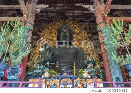 奈良の大仏　東大寺　大仏尊像 106310451