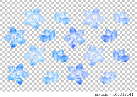 Delphinium 106312141