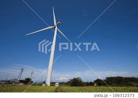 風車のある風景ーひまわり 106312573