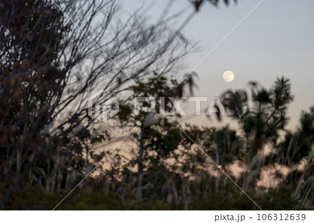 冬の夕焼け空 森 山 月 イメージ 106312639