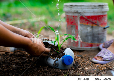 Little girl and mom grow plants in pots from recycled water bottles in the backyard. Recycle water bottle pot, gardening activities for children. Recycling of plastic waste 106313020