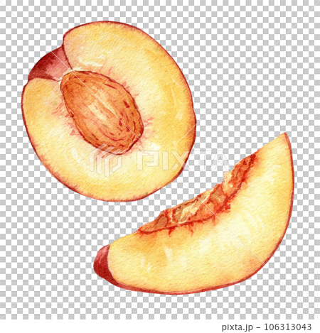 Fresh half red peach watercolor illustration isolated on white. Hand drawn slice, piece orange fruit nectarine. Painting food illustration, design element for package, label Fresh half red peach watercolor illustration isolated on white. Hand drawn slice, piece orange fruit nectarine. Painting food illustration, design element for package, label 106313043