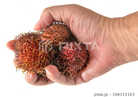 手に持ったトロピカルフルーツのランブータン 106313163