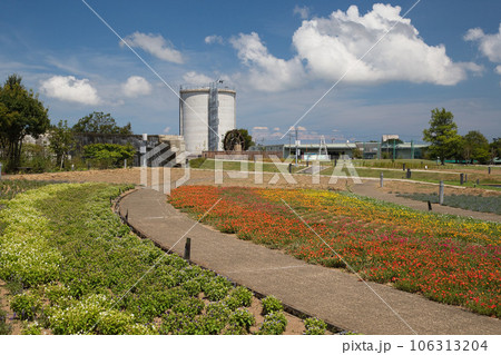 青空に映えるゆりの里公園 青空に映えるゆりの里公園 106313204