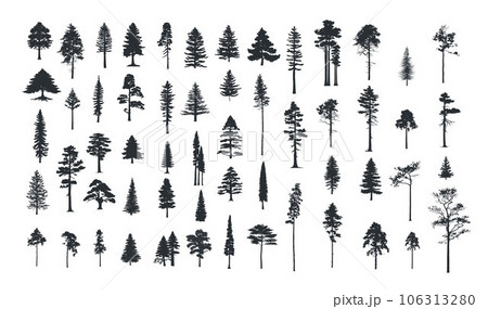 Set of pine tree silhouettes, fir forest trees 106313280