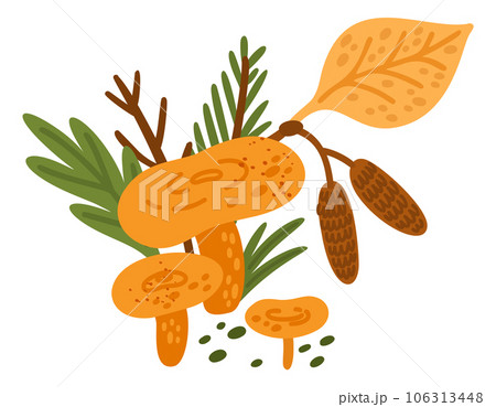 Forest mushroom. Chanterelles and leaves. Raw woodland food. Edible fungus. Birch and conifer foliage. Yellow fungi. Natural ingredient. Organic russula. Vector wild botanical element 106313448