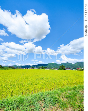夏の爽やかな田園風景 106313678