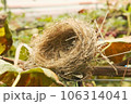 ミニチュアサイズの鳥の巣 106314041