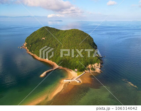 ドローンで撮った丸山島 106314042