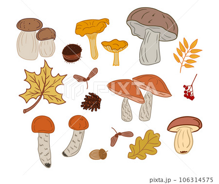 Collection of flat colored autumn mushrooms 106314575