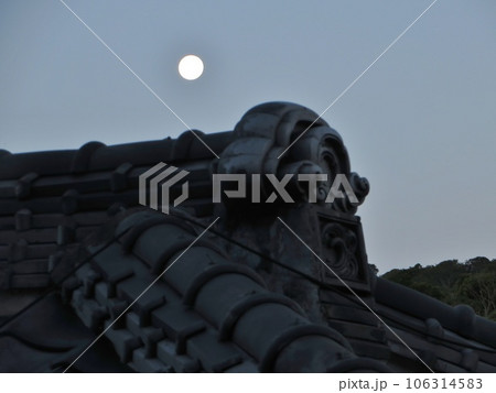 夜明けの月 106314583