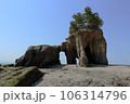 昼の山陽小野田市のくぐり岩 106314796