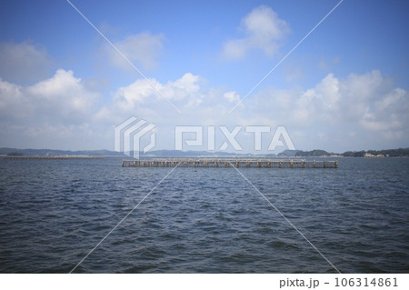 松島湾の牡蠣養殖 松島湾の牡蠣養殖 106314861