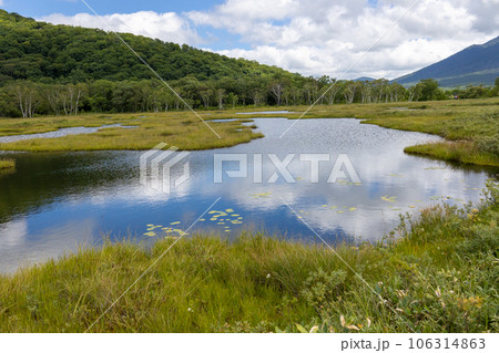 尾瀬ヶ原の池塘 106314863