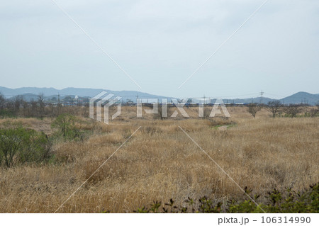 Hampyeongcheon,bicycle path, 106314990
