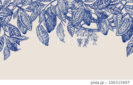 Seamless border with cocoa plant Seamless border with cocoa plant 106315697