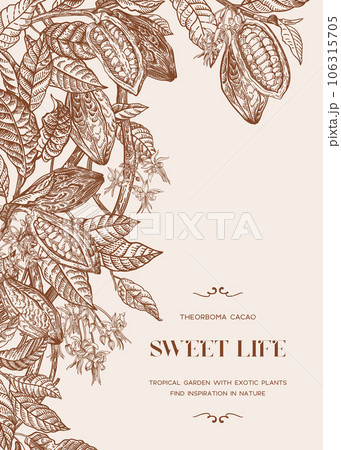 Border with cocoa plant. Border with cocoa plant. 106315705