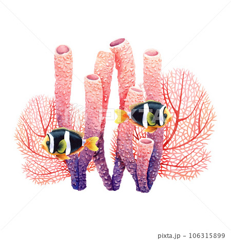 Underwater composition with coral reef plants and exotic fishes. Watercolor illustration isolated on white for clip art, cards, labels 106315899