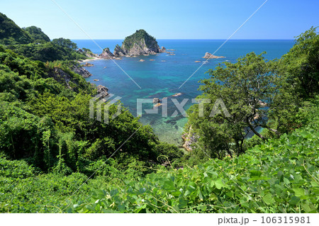 城原展望所付近から見た菜種五島（鳥取県岩美郡） 106315981