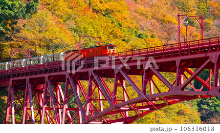 秋の黒部峡谷:新山彦橋を走るトロッコ電車 秋の黒部峡谷:新山彦橋を走るトロッコ電車 106316018