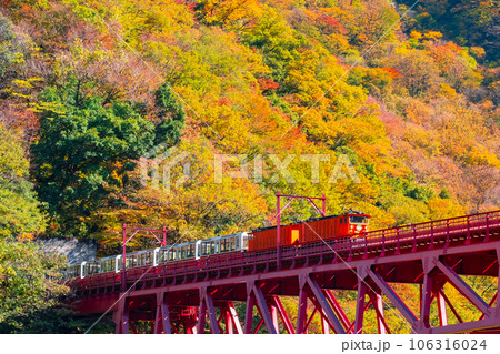 秋の黒部峡谷：新山彦橋を走るトロッコ電車 106316024