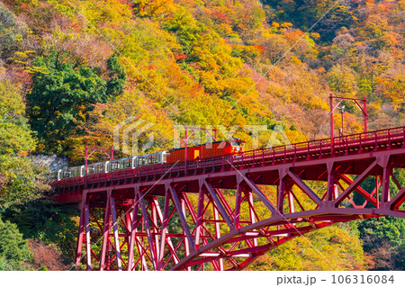 秋の黒部峡谷：新山彦橋を走るトロッコ電車 106316084