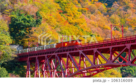 秋の黒部峡谷:新山彦橋を走るトロッコ電車 秋の黒部峡谷:新山彦橋を走るトロッコ電車 106316089