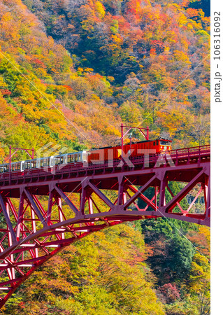 秋の黒部峡谷:新山彦橋を走るトロッコ電車 秋の黒部峡谷:新山彦橋を走るトロッコ電車 106316092