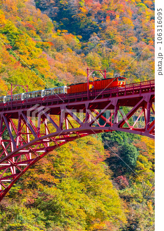 秋の黒部峡谷：新山彦橋を走るトロッコ電車 106316095