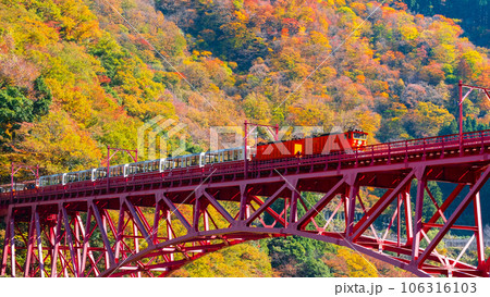 秋の黒部峡谷:新山彦橋を走るトロッコ電車 秋の黒部峡谷:新山彦橋を走るトロッコ電車 106316103