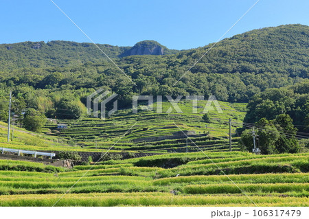 中山千枚田 香川県小豆島 中山千枚田 香川県小豆島 106317479