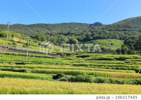 中山千枚田 香川県小豆島 中山千枚田 香川県小豆島 106317485