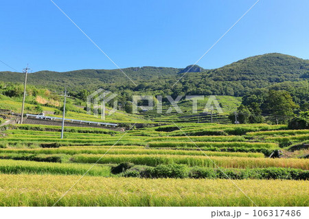 中山千枚田 香川県小豆島 中山千枚田 香川県小豆島 106317486
