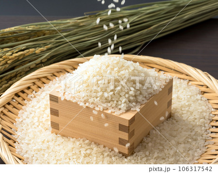 新米のイメージ。パラパラと枡に落ちる米。 106317542