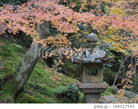 京都の秋 京都の秋 106317543