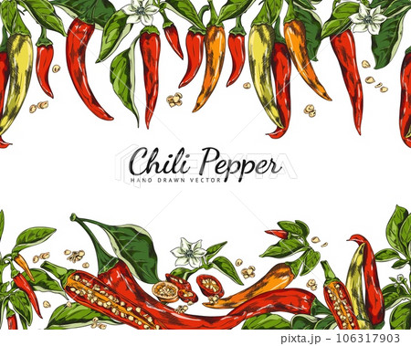 Chili peppers, leaves, flowers and seeds, spicy organic vegetables, healthy food color poster, hand drawn vector label Chili peppers, leaves, flowers and seeds, spicy organic vegetables, healthy food color poster, hand drawn vector label 106317903