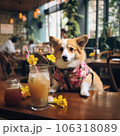 Cute dog sitting at the table in a coffee shop 106318089