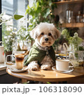 Cute dog sitting at the table in a coffee shop 106318090