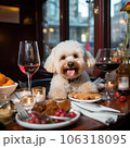 Cute dog sitting at the table in a coffee shop 106318095