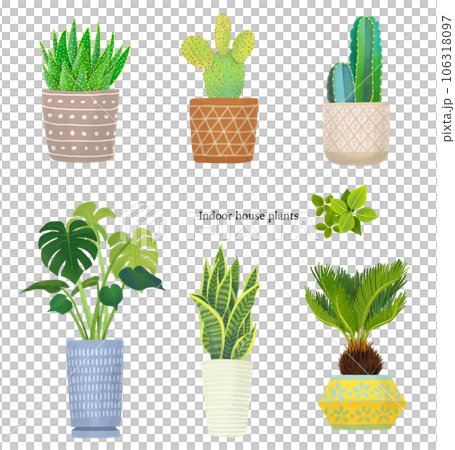 例證套葉子植物 例證套葉子植物 106318097