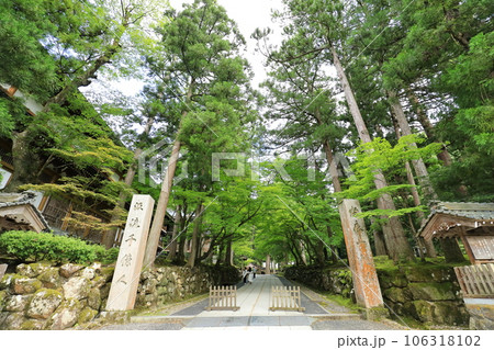 永平寺 106318102