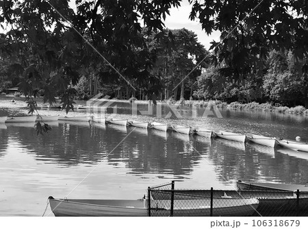 Photo on theme old wooden boat on green water of pond 106318679