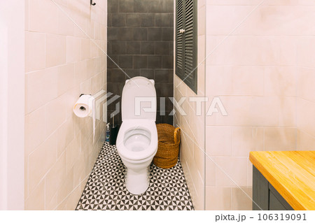 Modern Toilet. Stylish Apartment Interior Of Restroom. Idea For Home Design. Light Colors Of Design Modern Toilet. Stylish Apartment Interior Of Restroom. Idea For Home Design. Light Colors Of Design 106319091