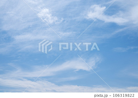 秋の青空 イメージ 【東京都】 106319822
