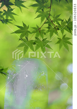 氷柱と青葉 氷柱と青葉 106320833