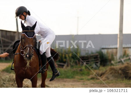 Woman rider jockey in helmet and white uniform preparing horse racing 106321711