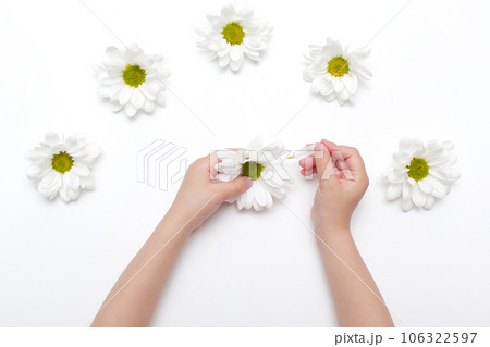 Spring frame of small flowers and daisy, floral arrangement 106322597