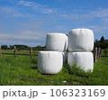 牧草ロールが並ぶ風景 106323169